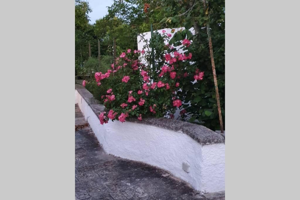Trulli Relax A Martina Franca Villa Екстериор снимка