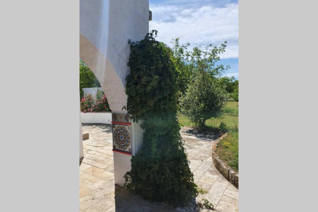 Trulli Relax A Martina Franca Villa Екстериор снимка